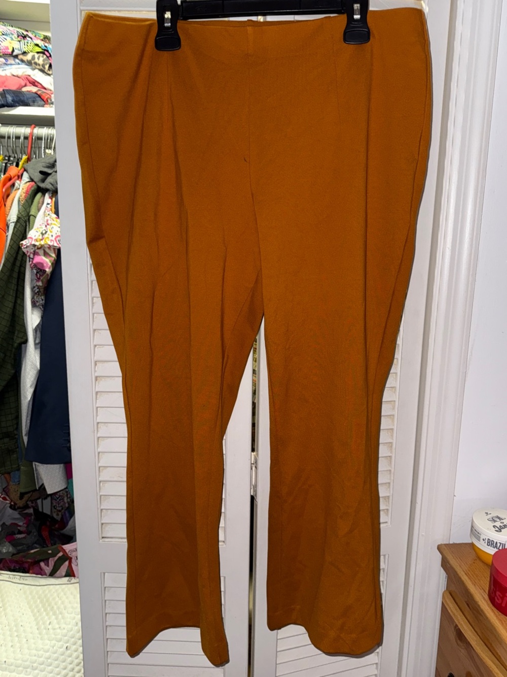 Cato Women's Golden Mustard Pants